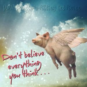 Meet your Posher, Julie